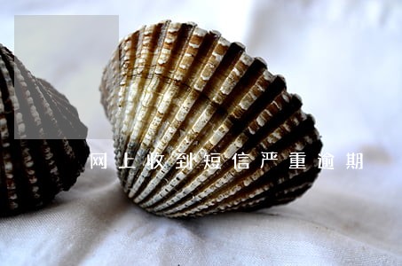 网上收到短信严重逾期 网上收到短信严重逾期