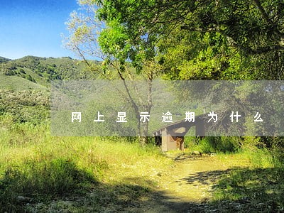 网上显示逾期为什么 网上显示逾期为什么