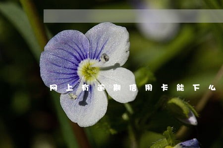 网上有逾期信用卡能下么 网上有逾期信用卡能下么