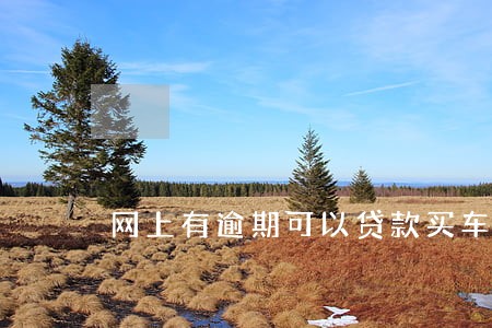 网上有逾期可以贷款买车吗 网上有逾期可以贷款买车吗