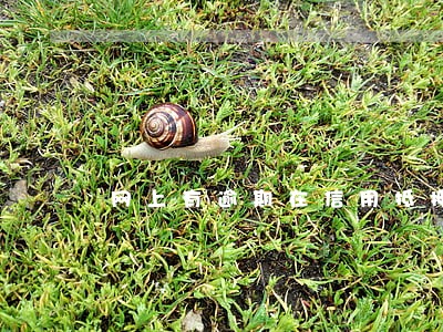 网上有逾期在信用抵押贷款 网上有逾期在信用抵押贷款