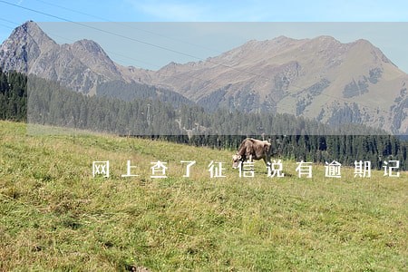 网上查了征信说有逾期记录 网上查了征信说有逾期记录