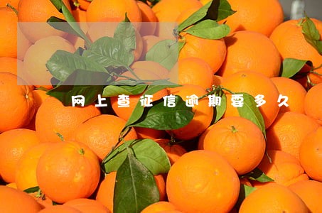 网上查征信逾期要多久 网上查征信逾期要多久