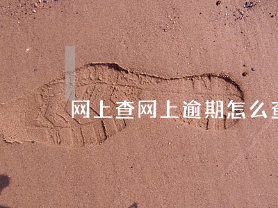 网上查网上逾期怎么查 网上查网上逾期怎么查