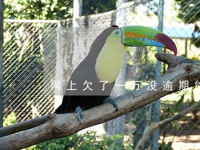 网上欠了一万没逾期能买车吗 网上欠了一万没逾期能买车吗