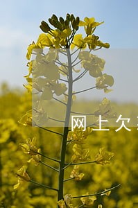 网上欠款什么情况会发律师函 网上欠款什么情况会发律师函