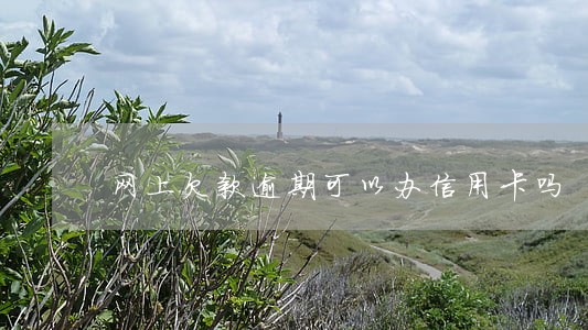网上欠款逾期可以办信用卡吗 网上欠款逾期可以办信用卡吗