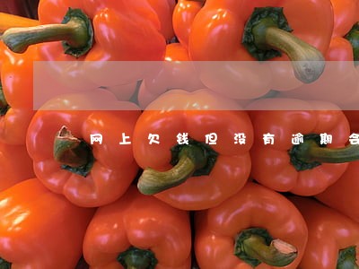 网上欠钱但没有逾期会上征信吗 网上欠钱但没有逾期会上征信吗