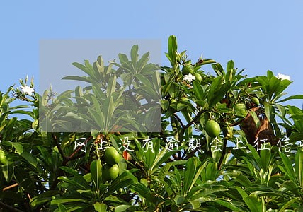 网上没有逾期会上征信吗 网上没有逾期会上征信吗