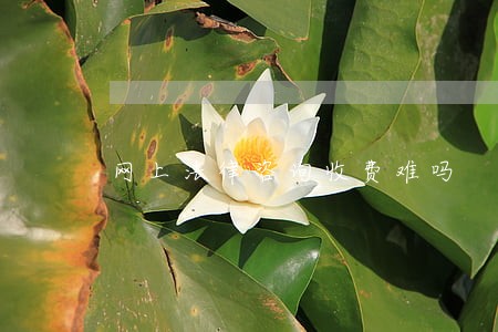 网上法律咨询收费难吗 网上法律咨询收费难吗