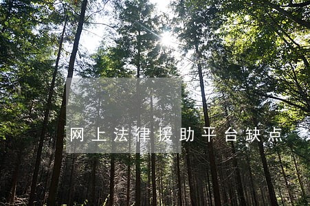 网上法律援助平台缺点 网上法律援助平台缺点