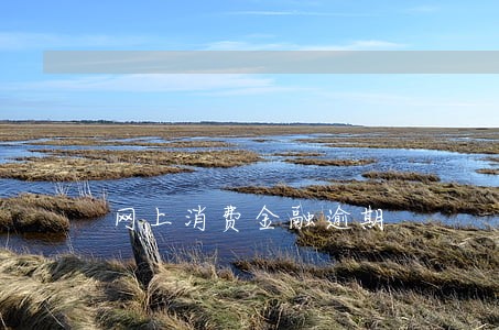 网上消费金融逾期 网上消费金融逾期