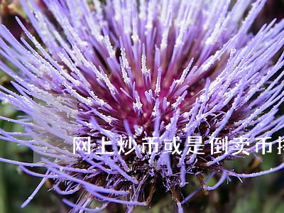 网上炒币或是倒卖币挣差价违法吗 网上炒币或是倒卖币挣差价违法吗