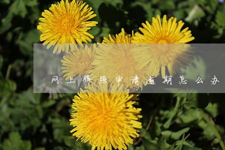 网上牌照申请逾期怎么办 网上牌照申请逾期怎么办