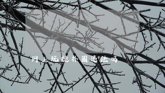网上玩德扑圈违法吗