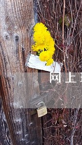 网上理财产品逾期怎么办