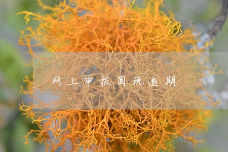 网上申报国税逾期 网上申报国税逾期