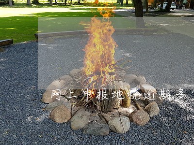 网上申报地税逾期多少 网上申报地税逾期多少