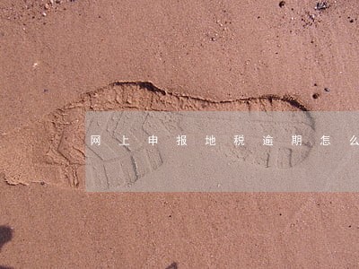 网上申报地税逾期怎么处罚 网上申报地税逾期怎么处罚