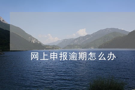 网上申报逾期怎么办 网上申报逾期怎么办