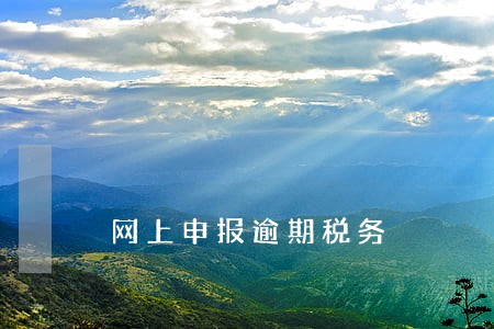 网上申报逾期税务 网上申报逾期税务