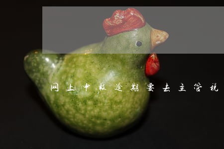 网上申报逾期要去主管税务机关 网上申报逾期要去主管税务机关