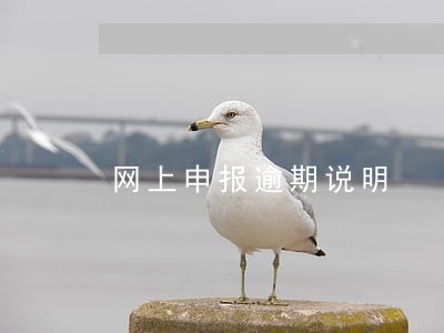 网上申报逾期说明 网上申报逾期说明