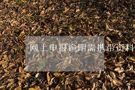 网上申报逾期需携带资料 网上申报逾期需携带资料