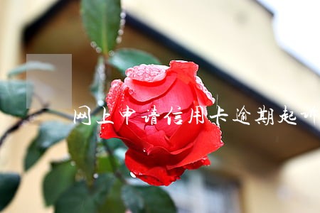 网上申请信用卡逾期起诉 网上申请信用卡逾期起诉