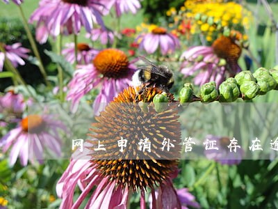 网上申请外管证存在逾期未缴销的 网上申请外管证存在逾期未缴销的