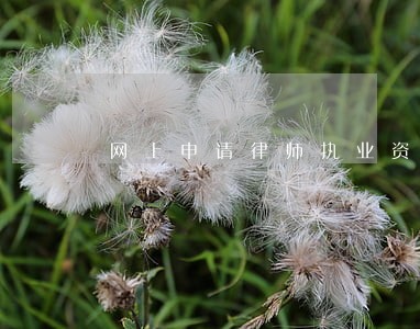 网上申请律师执业资格证 网上申请律师执业资格证