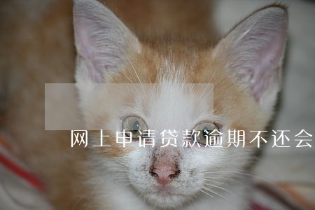 网上申请贷款逾期不还会怎么样 网上申请贷款逾期不还会怎么样
