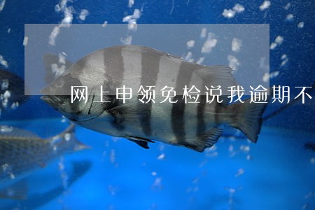 网上申领免检说我逾期不可办理 网上申领免检说我逾期不可办理