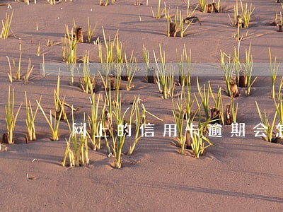 网上的信用卡逾期会怎么样