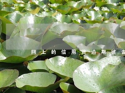 网上的信用贷逾期被告了怎么办 网上的信用贷逾期被告了怎么办