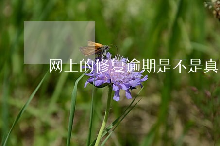 网上的修复逾期是不是真的 网上的修复逾期是不是真的