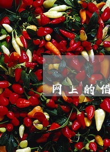 网上的借款平台逾期 网上的借款平台逾期
