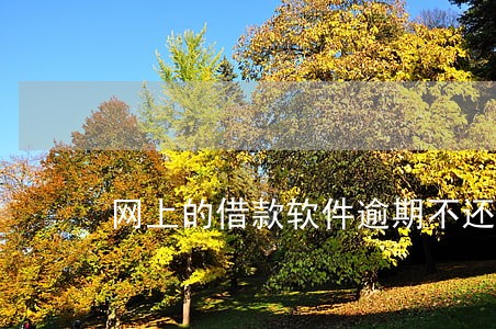 网上的借款软件逾期不还 网上的借款软件逾期不还