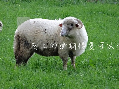 网上的逾期修复可以消除嘛 网上的逾期修复可以消除嘛