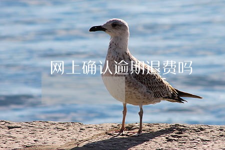 网上确认逾期退费吗 网上确认逾期退费吗