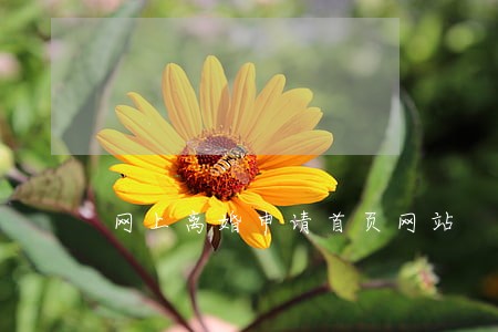 网上离婚申请首页网站 网上离婚申请首页网站