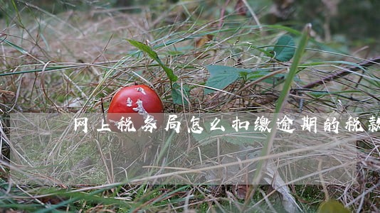 网上税务局怎么扣缴逾期的税款 网上税务局怎么扣缴逾期的税款