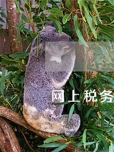 网上税务局怎么查询逾期 网上税务局怎么查询逾期