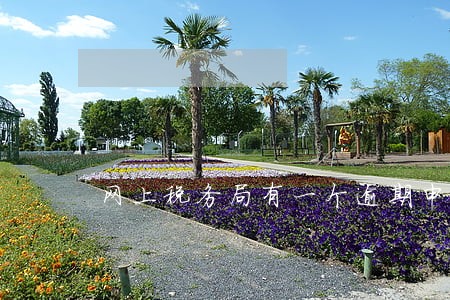 网上税务局有一个逾期申报 网上税务局有一个逾期申报