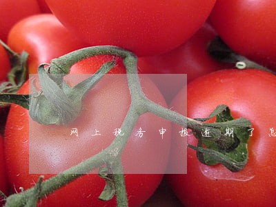 网上税务申报逾期了怎么办