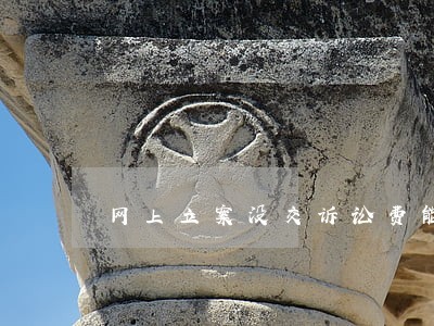 网上立案没交诉讼费能审理吗 网上立案没交诉讼费能审理吗