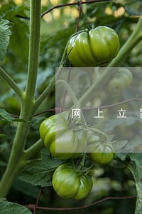 网上立案逾期未补充材料 网上立案逾期未补充材料