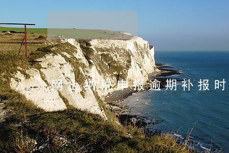 网上纳税申报逾期补报时间 网上纳税申报逾期补报时间