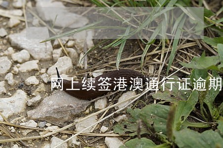 网上续签港澳通行证逾期