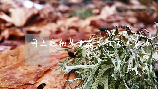 网上缴纳热费显示逾期怎么办 网上缴纳热费显示逾期怎么办